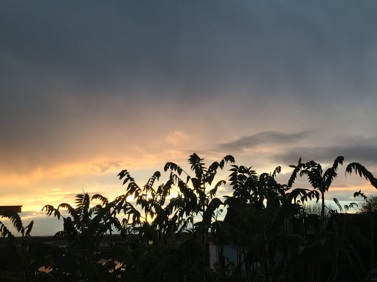 Cloudwatcher32's tweet photo. Skies from the archives #6
being an occasional series ;)
Brooding sky at sunset
@StormHour @ThePhotoHour @EarthandClouds
#GuessCloud #sunsetphotography #GoldenHour #skies https://t.co/Hx5GHNr6Vd
