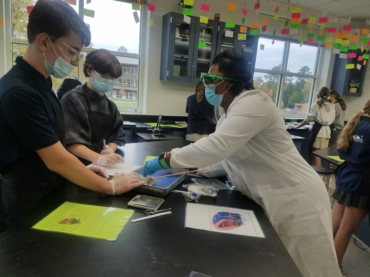 suddithspeaks's tweet photo. Ms. Abernathy (G7) rocks! So excited for our Mustangs to engage in this experience... and more to come. #pauseforamomentofscience #inquiry https://t.co/S5KL5W0U23