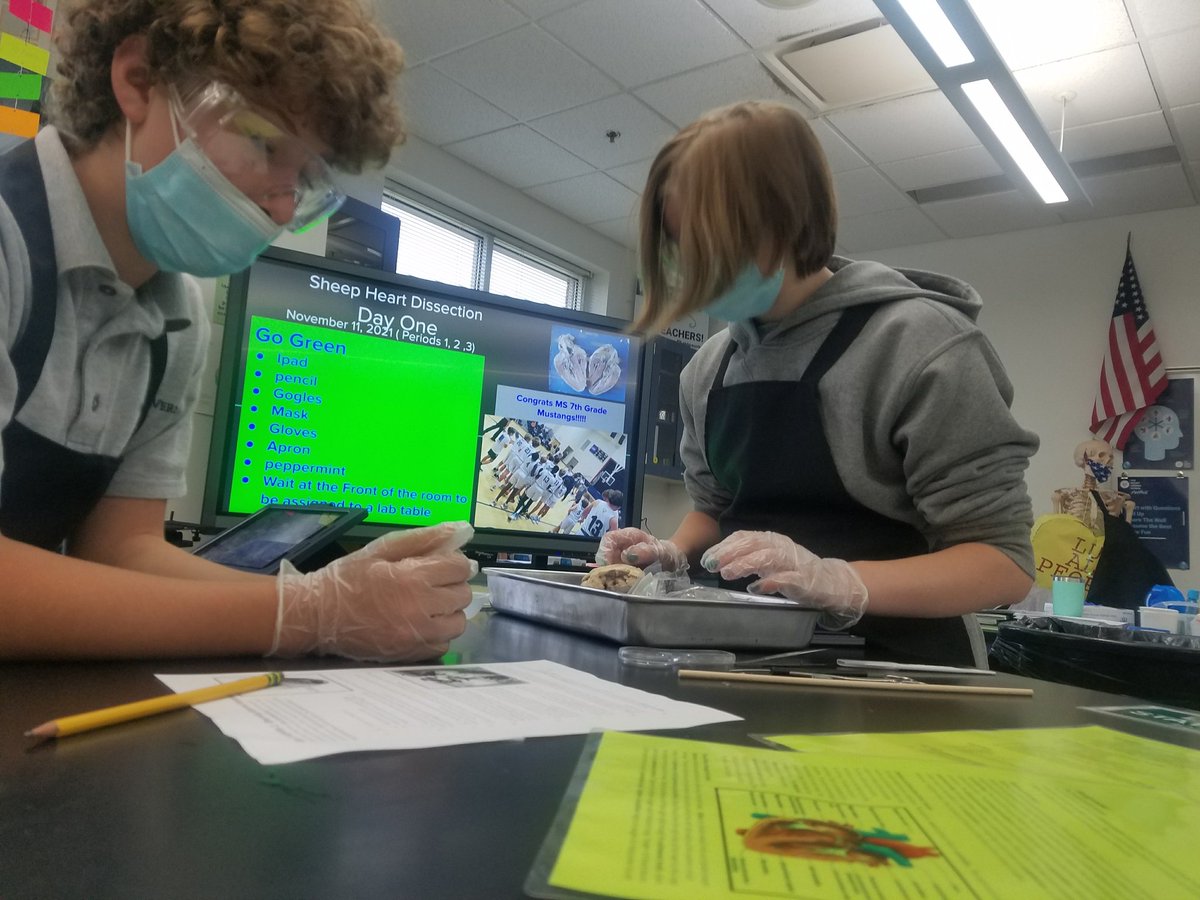 suddithspeaks's tweet photo. Ms. Abernathy (G7) rocks! So excited for our Mustangs to engage in this experience... and more to come. #pauseforamomentofscience #inquiry https://t.co/S5KL5W0U23