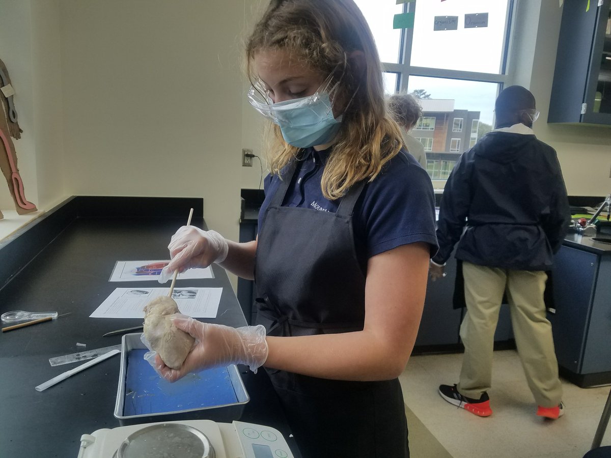 suddithspeaks's tweet photo. Ms. Abernathy (G7) rocks! So excited for our Mustangs to engage in this experience... and more to come. #pauseforamomentofscience #inquiry https://t.co/S5KL5W0U23