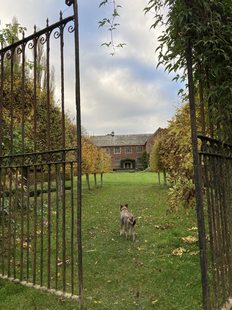A great day was had by all at the Outdoor Learning Conference at Hellens Manor today. Well done to all those who worked hard to make it a success! #outdoors <a href="/HiddenHereford1/">Hidden Herefordshire</a> <a href="/outback2basics/">outback2basics</a> Thanks for the follow <a href="/ninalouise213/">🌈 Nina</a> <a href="/WTFIOxfordshire/">Where The Fruit Is</a>