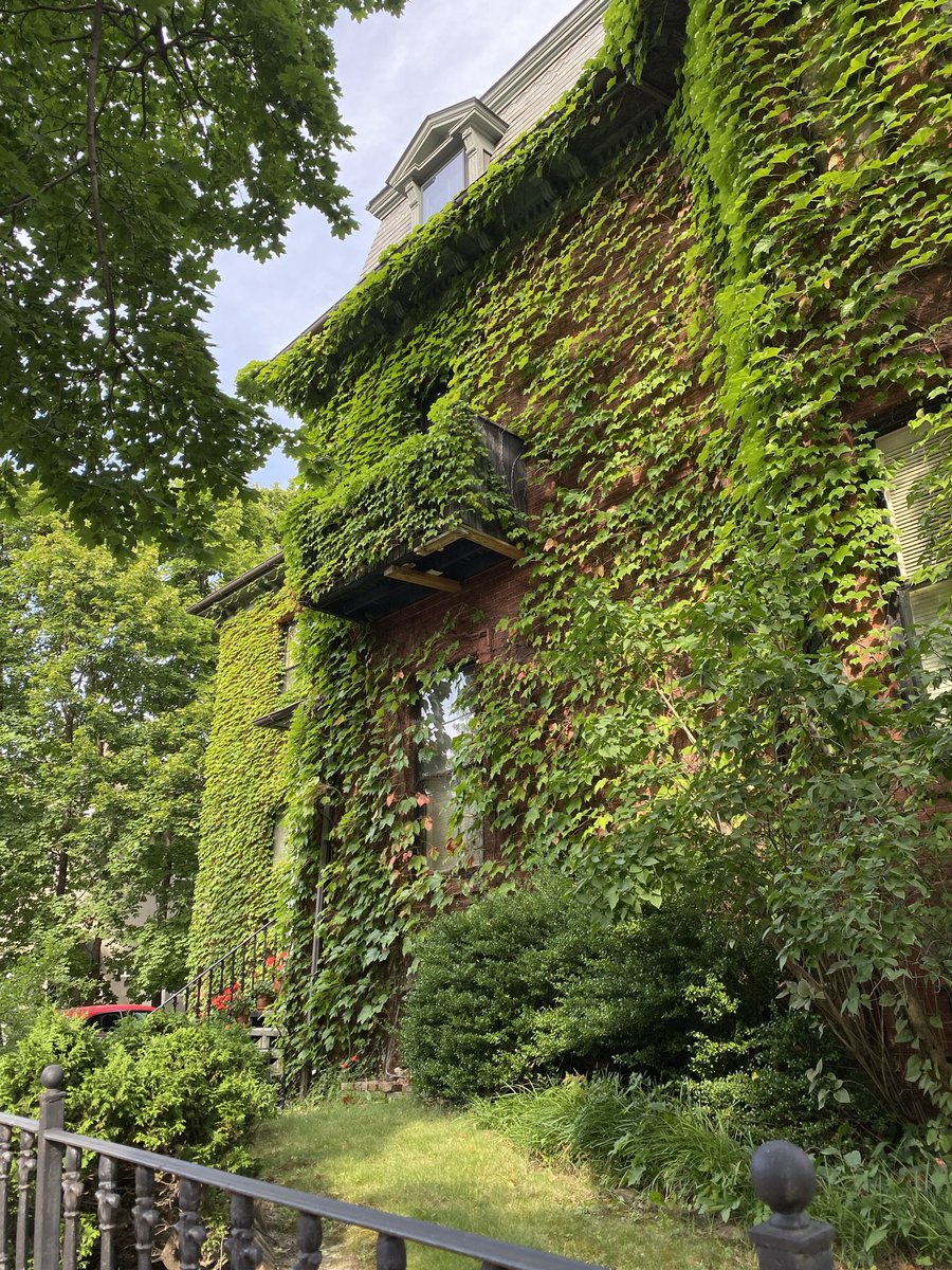 Irving House at Harvard 🌿 tweet media