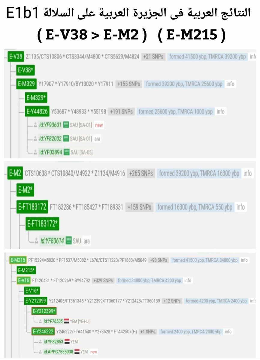 <a href="/ArabEM35/">مُضري</a> <a href="/kwetaid/">🇸🇦 م:خالد الوتيد 🇸🇦</a> <a href="/khalidhasani99/">خالد آل حمود</a> @Dr_alghafly @abosaleh3072 النتائج تتكلم