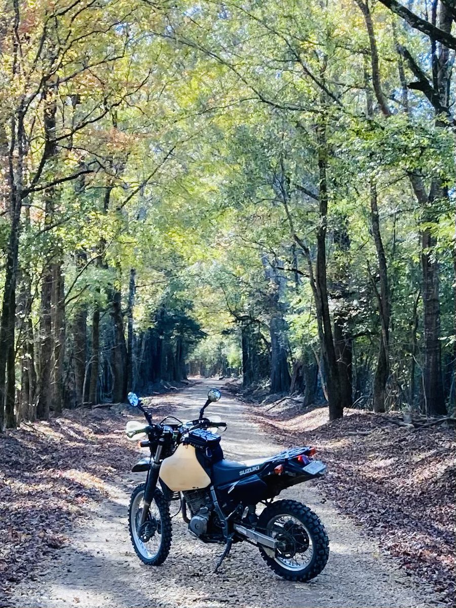 Christopher Whatley tweet media