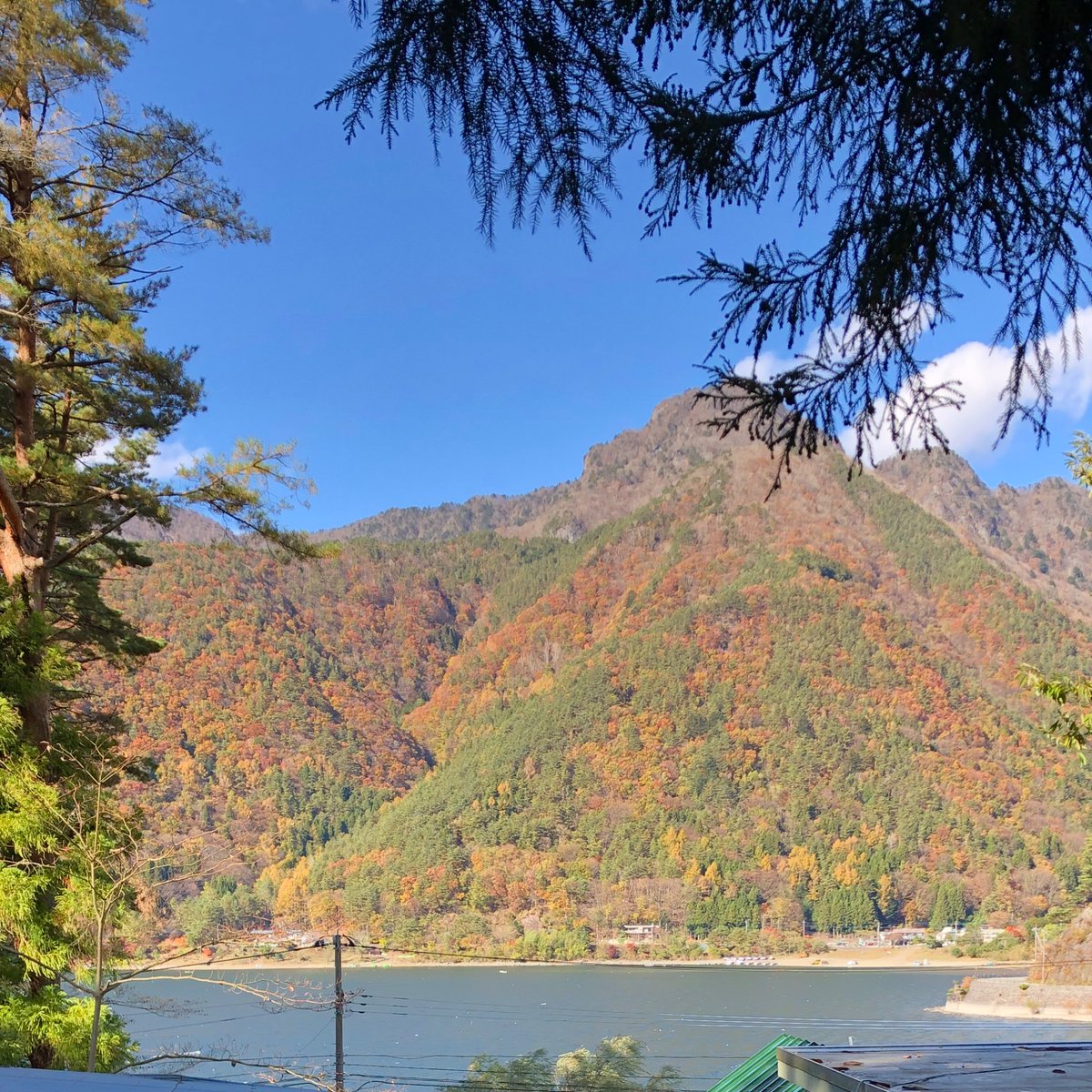 hspfire9's tweet photo. 秋キャンプのつもりが極寒でした🥶

でも、焚き火や今年初の花火もできて良かったです🎆 https://t.co/2bl84GDu8f
