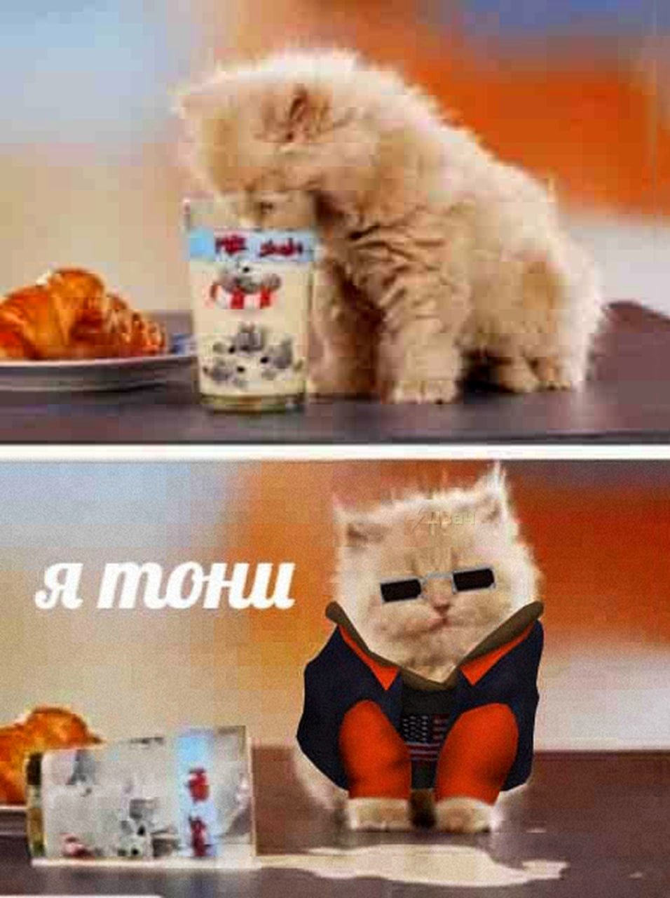 FEFArR0XMAQ5NLA?format=jpg&name=large