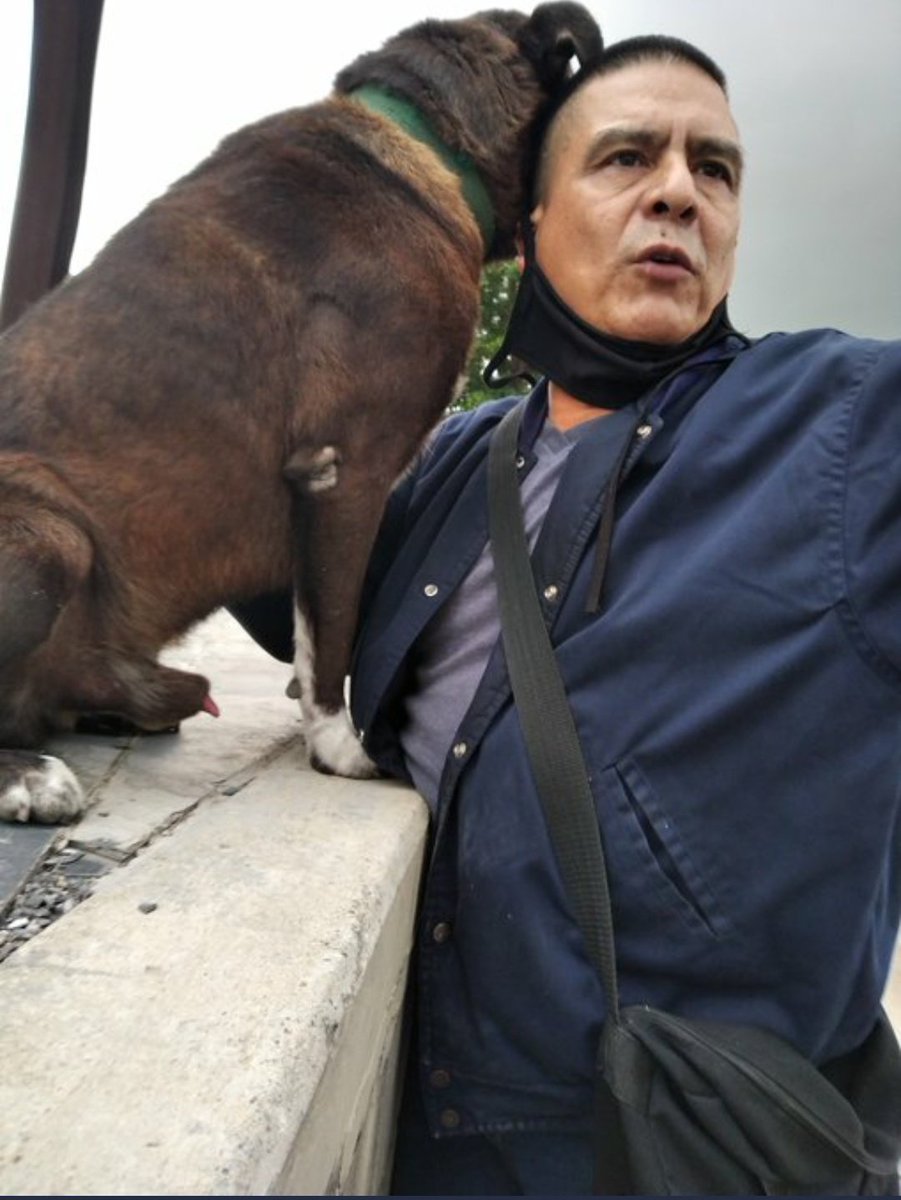 Este sábado a las 5:30am delincuentes hirieron de un disparo al señor Freddy en los alrededores del Panteón Nacional. Iba a esa hora como todos los días a alimentar a los más de 20 perritos callejeros del lugar. Lo tienen en el Pérez Carreño. 
04125404989 este es el número...