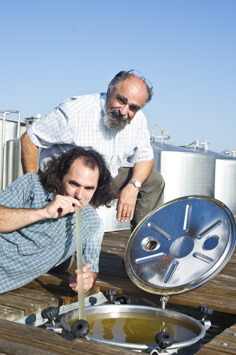 Le #millesime2021 s'annonce très prometteur 😍
Comme la fabrication d'un parfum, une cuvée demande beaucoup de savoir-faire. Il faut savoir goûter et analyser chaque cuve dans le but d'obtenir un #vin qualitatif 🍷
#vineyard #suddefrance #winery #languedoc #beziers #southoffrance