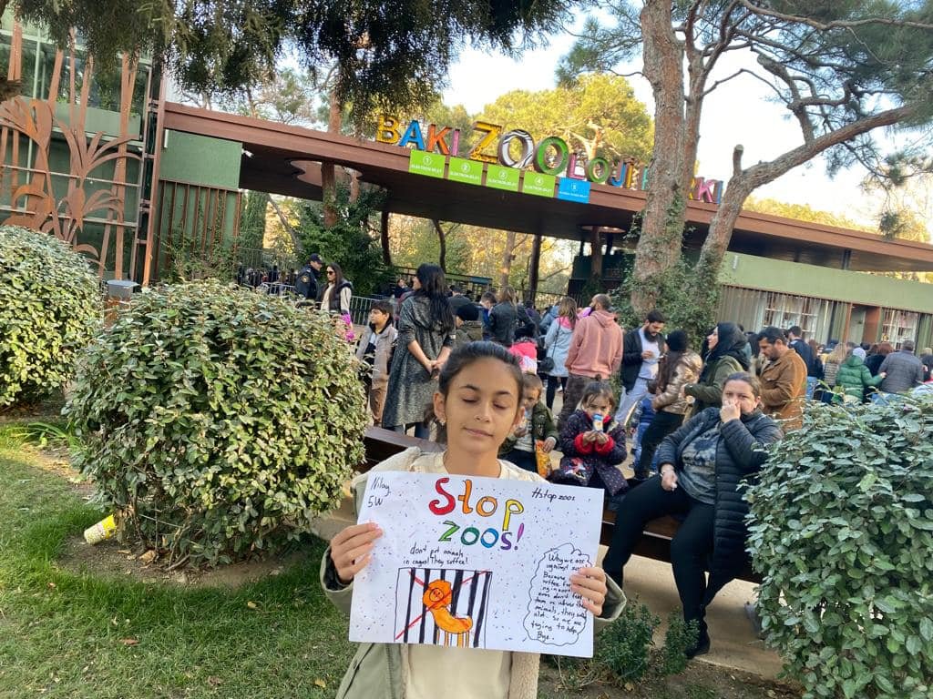 SƏNƏ HALAL OLSUN! 🖤