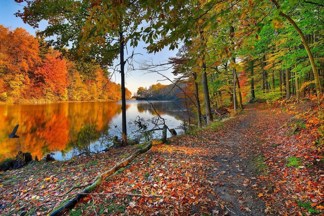 #FallVibes @ Durand Eastman Park 🐿🍁🍂 #thisisroc 📸: <a href="/JamesMontanus/">James Montanus</a>. 🍁 <a href="/VisitRochester/">Visit Rochester CVB</a> <a href="/I_LOVE_NY/">I LOVE NEW YORK</a>