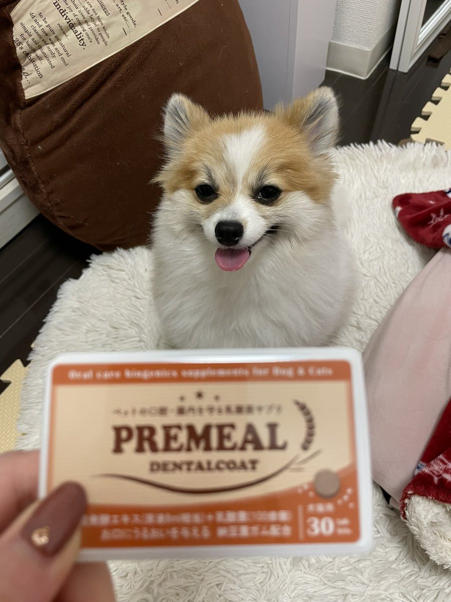 gaku_rpba's tweet photo. BYRONさんからモニターとしてPREMEALをいただきました!一日三粒でわんちゃん猫ちゃんの口臭、腸内環境を改善してくれる優れもの✨納豆のようなにおいがしますが、うちの学ちゃんは大好きです🐶うんちの出が良くなったので、皆様もぜひ❤️ #プレミール #PREMEAL #デンタルコート #乳酸菌発酵エキス https://t.co/gElBkhOg34