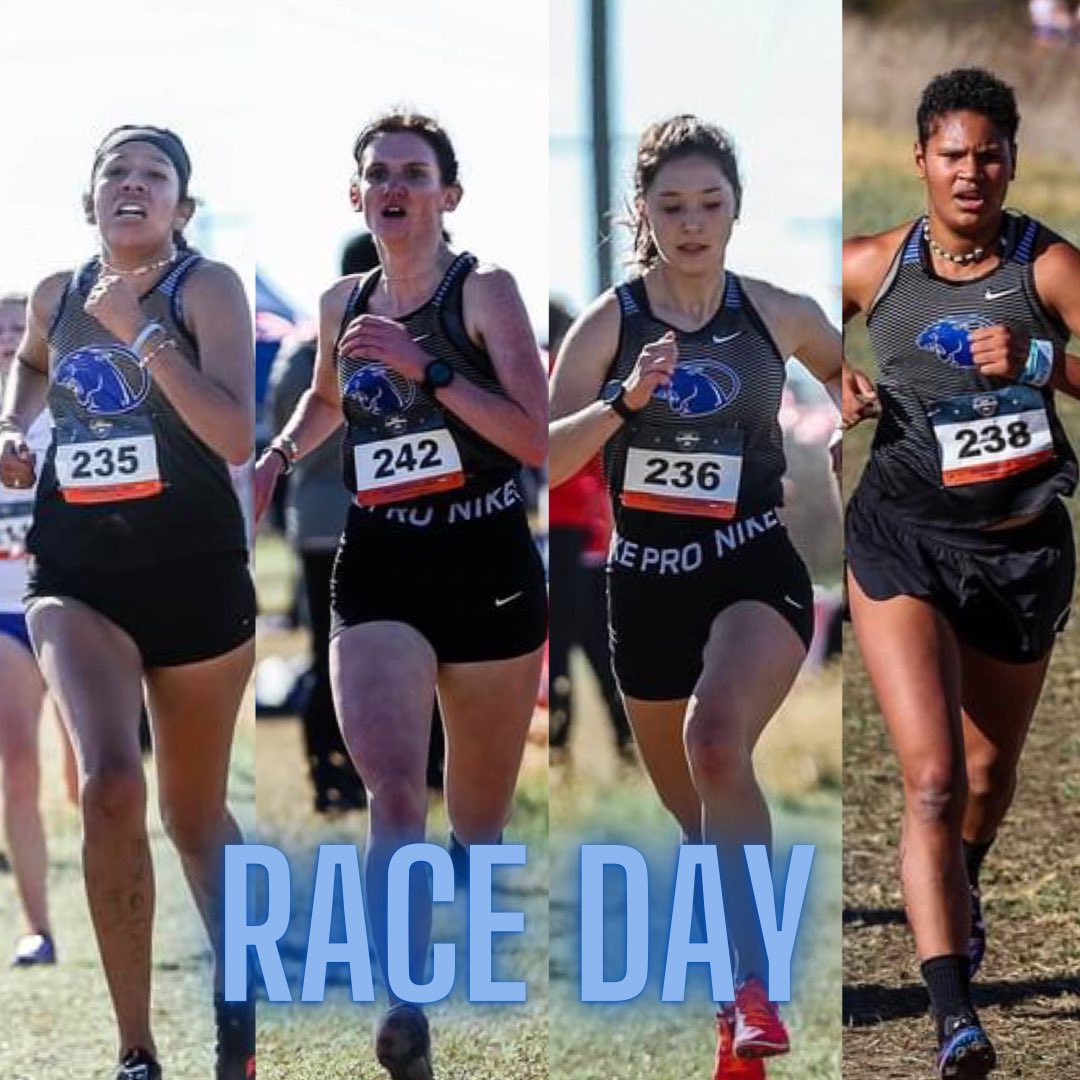 York University TF and XC tweet media