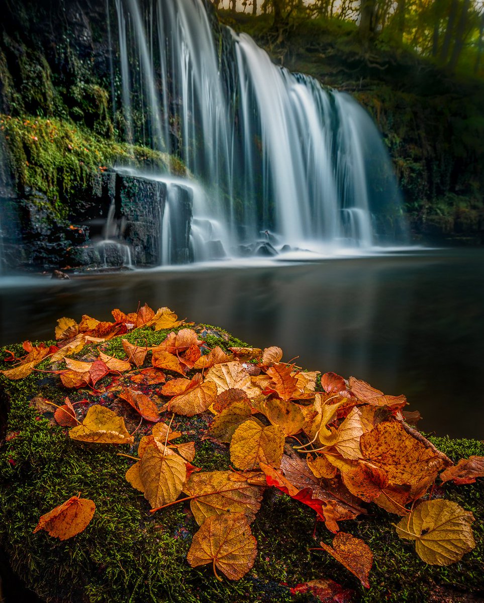 Along the Elidir Trail

Waterfalls in the Brecon Beacons at the best time of the year.

#ThePhotoHour #StormHour 
#waterfalls #wales #neath #pontneddfechan #breconbeacons #longexposure #autumn #fall #colours #water #outdoor #canon #gitzo #leefilters