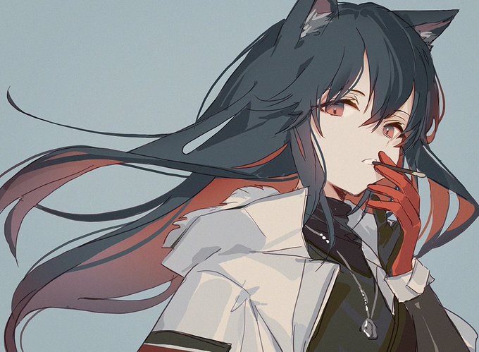 P④2 アークナイツ テキサス 戦闘服 高品質 arknight 制服 狼 P④2 アークナイツ テキサス 戦闘服 高品質 arknight 制服 狼