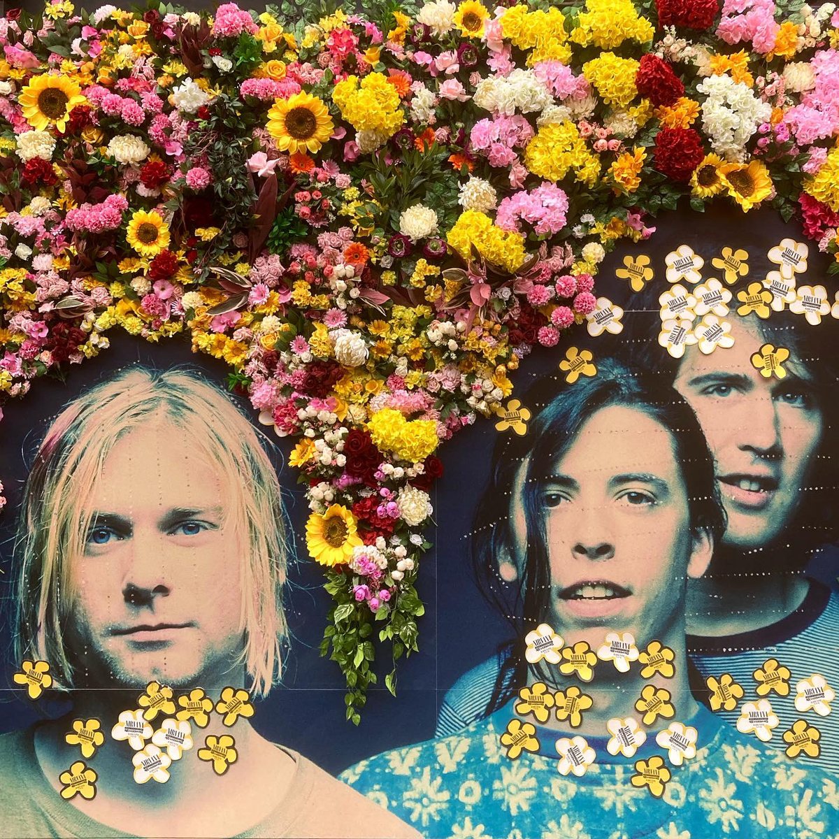 PhilAlexanderUK's tweet photo. In Bloom etc… ⁦@Nirvana⁩ 
#kurtcobain #kristnovoselic #davegrohl #theblackcap #camdentown #plantme #nevermind #forever https://t.co/mklCkKbZHz
