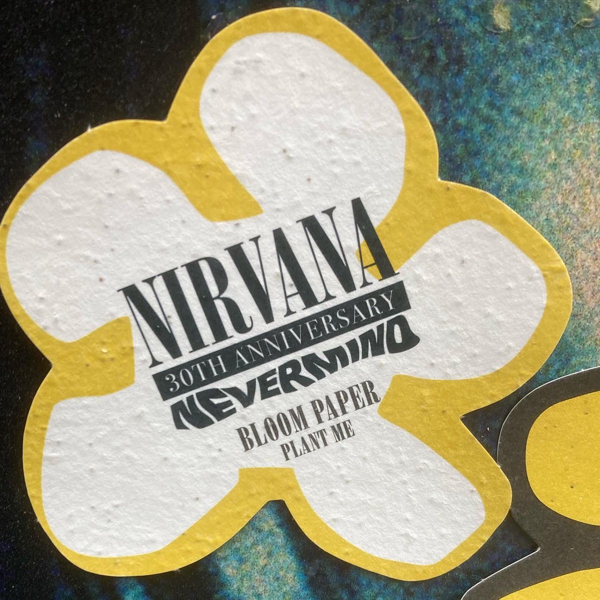 PhilAlexanderUK's tweet photo. In Bloom etc… ⁦@Nirvana⁩ 
#kurtcobain #kristnovoselic #davegrohl #theblackcap #camdentown #plantme #nevermind #forever https://t.co/mklCkKbZHz