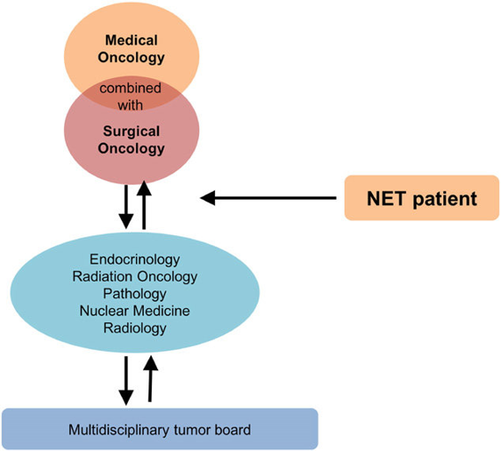 American Association of Endocrine Surgeons (@theaaes) on Twitter photo A multidisciplinary team of experienced docs including surgeons, oncologists, radiologists, and nuclear medicine physicians are critical for diagnosis and management of NETs. <a href="/TheAAES/">American Association of Endocrine Surgeons</a> surgeon finder can help locate an expert. #NETAM2021
<a href="/NANETS1/">NANETS</a> <a href="/CarcinoidNETs/">CarcinoidCancer CCF</a> @LACNETS <a href="/PheoPara/">Pheo Para Alliance</a> A multidisciplinary team of experienced docs including surgeons, oncologists, radiologists, and nuclear medicine physicians are critical for diagnosis and management of NETs. <a href="/TheAAES/">American Association of Endocrine Surgeons</a> surgeon finder can help locate an expert. #NETAM2021
<a href="/NANETS1/">NANETS</a> <a href="/CarcinoidNETs/">CarcinoidCancer CCF</a> @LACNETS <a href="/PheoPara/">Pheo Para Alliance</a>