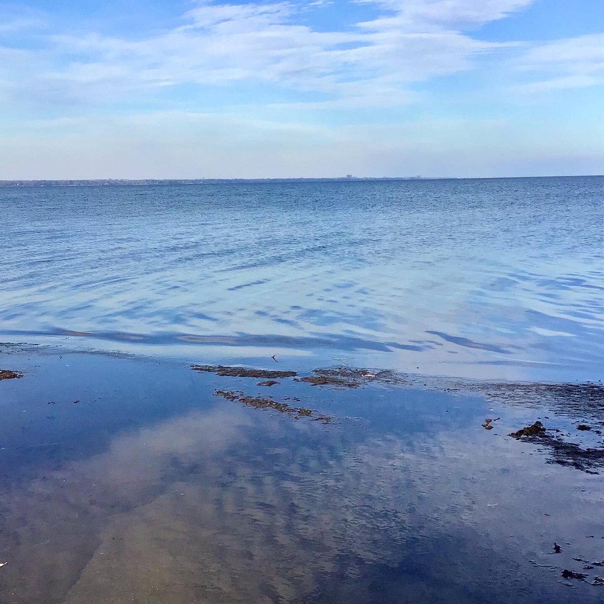 TrillLINDSAY's tweet photo. @floodland08 @0qlR5d35KAJ12Wh @Nit0r @drlisalghthse7 @RuedaWrites @fife_benjamin @PhilJohnson01 @NewNonentities Thanks 🙏for the shout-out @floodland08 💫

#WritingCommunity 
#OPENTAG 
Share your location &amp; tag a few ~ 

@DerekRKing2 
@Kellyrei007 
@Wrix2 
@WittyMystic 
@CK_Ruppelt 

Lake Ontario, southern shore, looking across lake to #Toronto https://t.co/kneWCO6mqK