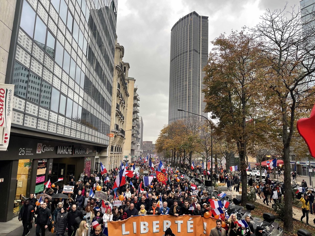f_philippot's tweet photo. Bleu Blanc Rouge !
Une foule gigantesque se bat pour sa liberté au cœur de Paris !
Courage à tous les résistants ! Macron démission ! #manifs13novembre https://t.co/2xT3uI0naf