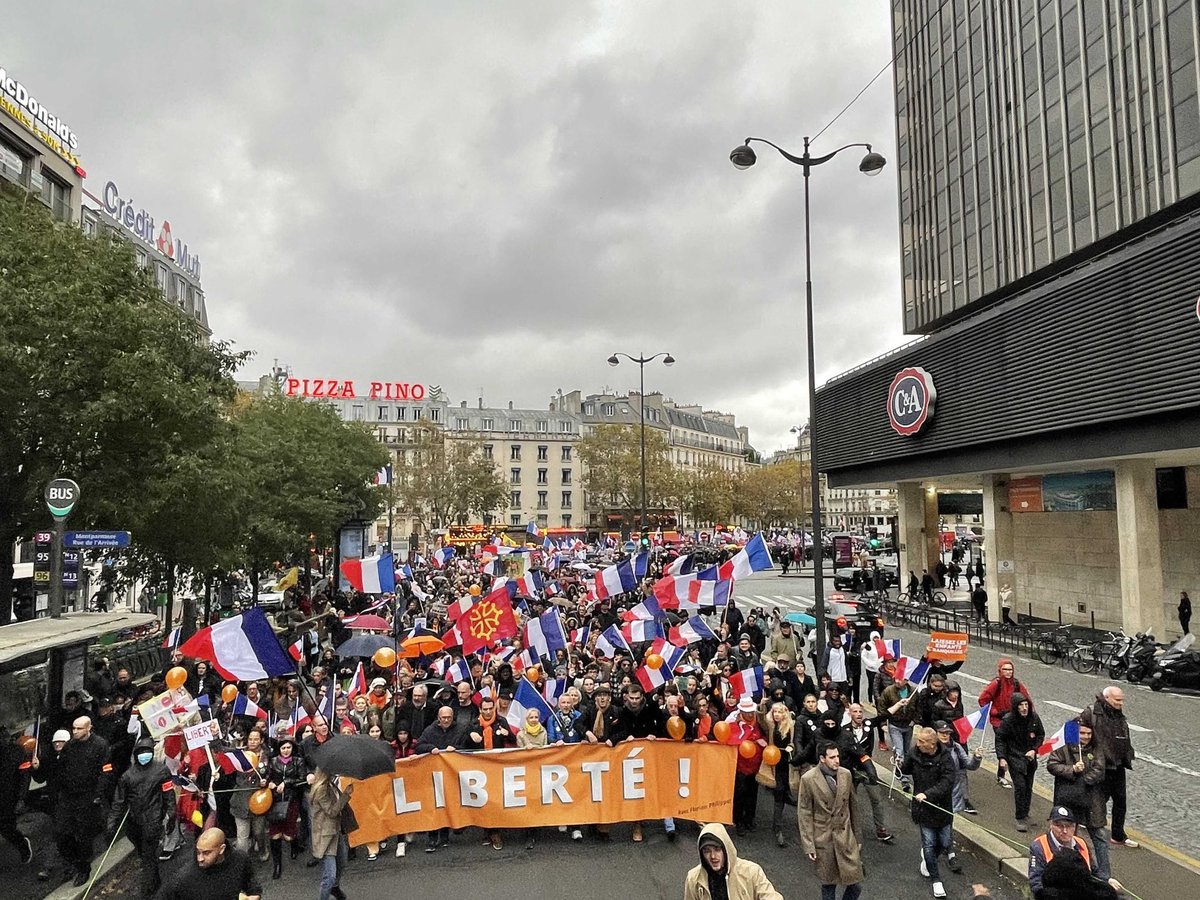 f_philippot's tweet photo. Bleu Blanc Rouge !
Une foule gigantesque se bat pour sa liberté au cœur de Paris !
Courage à tous les résistants ! Macron démission ! #manifs13novembre https://t.co/2xT3uI0naf