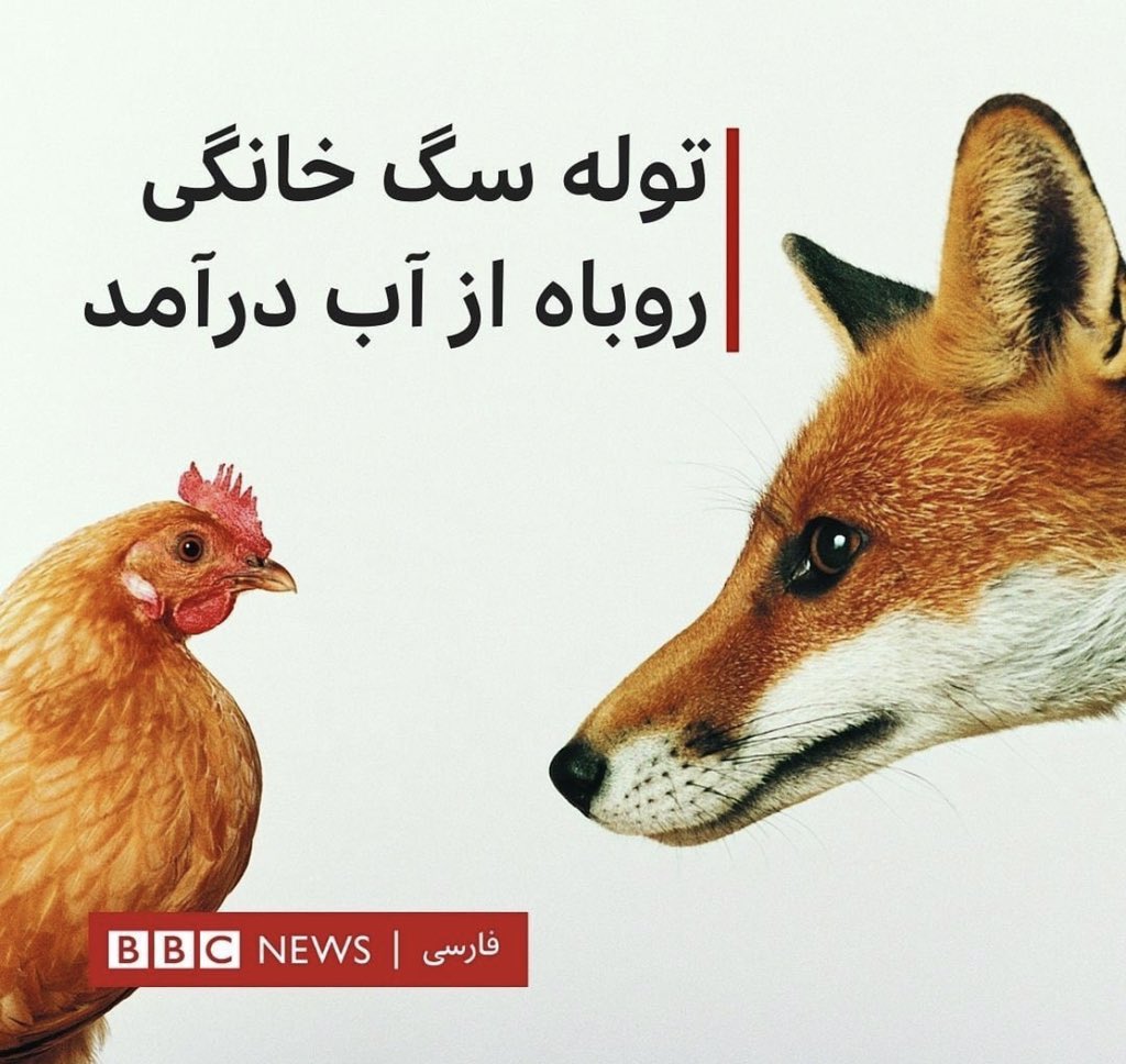 defnottro's tweet photo. مامان بابام وقتی فهمیدن مشروب میخورم: https://t.co/8b3u48mATn