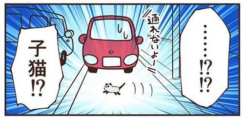 【漫画】車にひかれそうな子猫を保護、衰弱していたが…… 飼い主と先住猫に愛され成長していく姿にほっこり https://t.co/BJZPcuUunX @itm_nlabより 