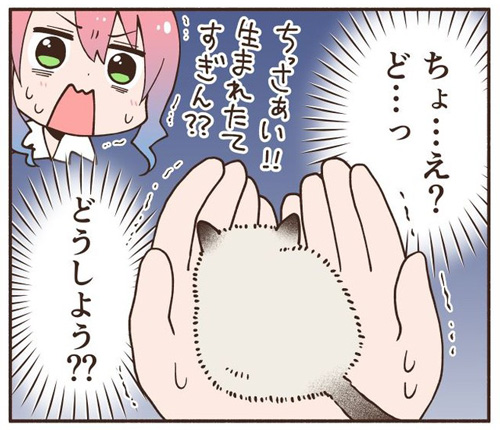 【漫画】車にひかれそうな子猫を保護、衰弱していたが…… 飼い主と先住猫に愛され成長していく姿にほっこり https://t.co/BJZPcuUunX @itm_nlabより