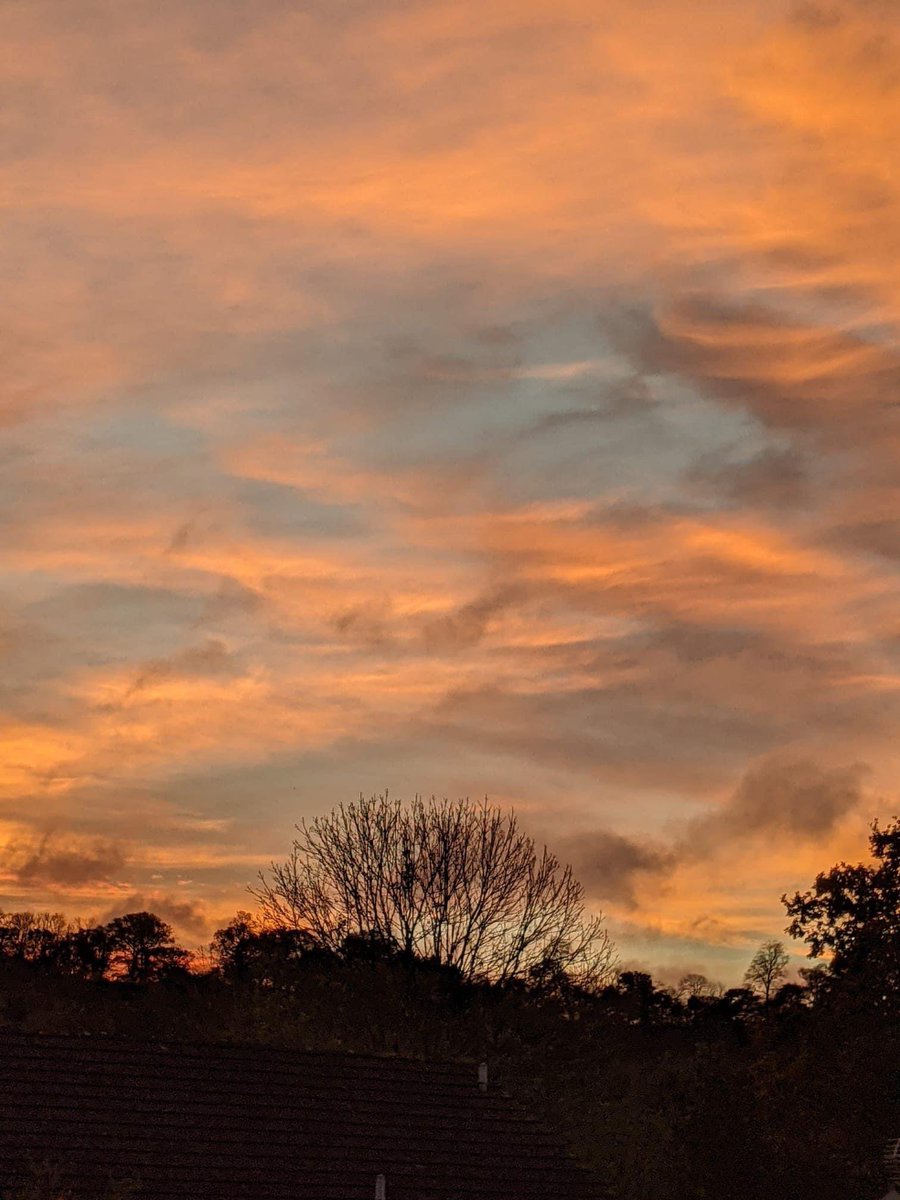 CFG_DEVON's tweet image. Sunrise on the 1st post lockdown Children and Families in Grief Family Bereavement Day! 
Today we will be welcoming families to come together and work with their grief and share with each other. A huge part of our work which we value highly and have missed very much! 🤗