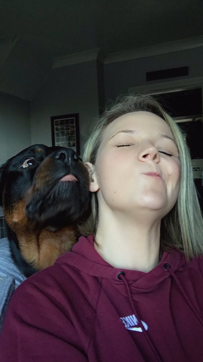 GemaLilley2's tweet photo. My boyo!!! #rottie #rottweiler #myfave #oneofthekids #dog #socute https://t.co/MoQ0zmbElg