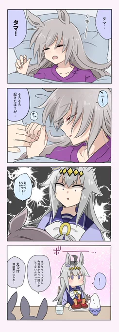 オグタマの4コマ
(オグ→タマっぽい) 