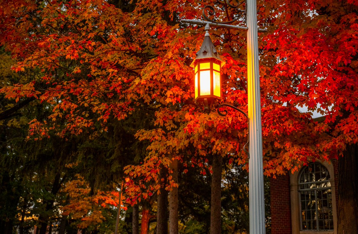 michiganstateu's tweet photo. Autumn leaves falling down like pieces into place, and I can picture it after all these days. #RedTaylorsVersion https://t.co/VGAZEMQ4Ko