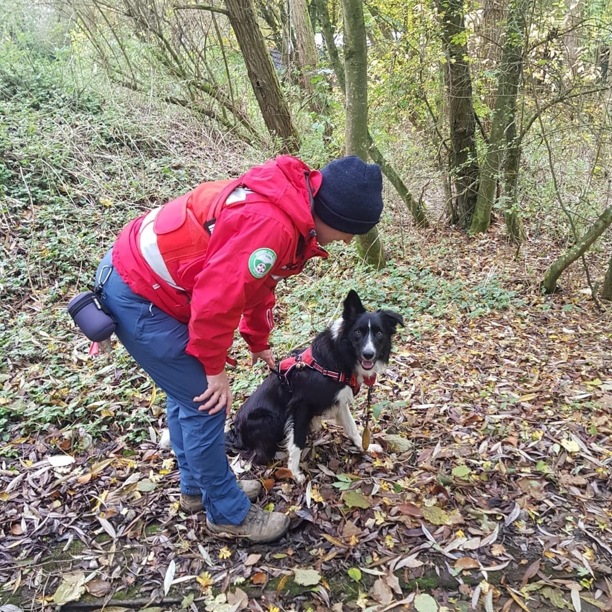 Merlin05629383's tweet photo. Great day out training with Wilsar dog team #bordercollie #search #searchandrescue #searchdog #searchdogtraining #dogtraining #cleverboy https://t.co/KSgP9xI3Hr