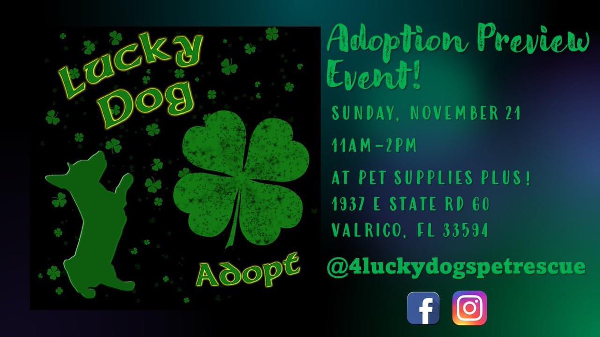 4luckydogs's tweet photo. https://t.co/THF48J55FS