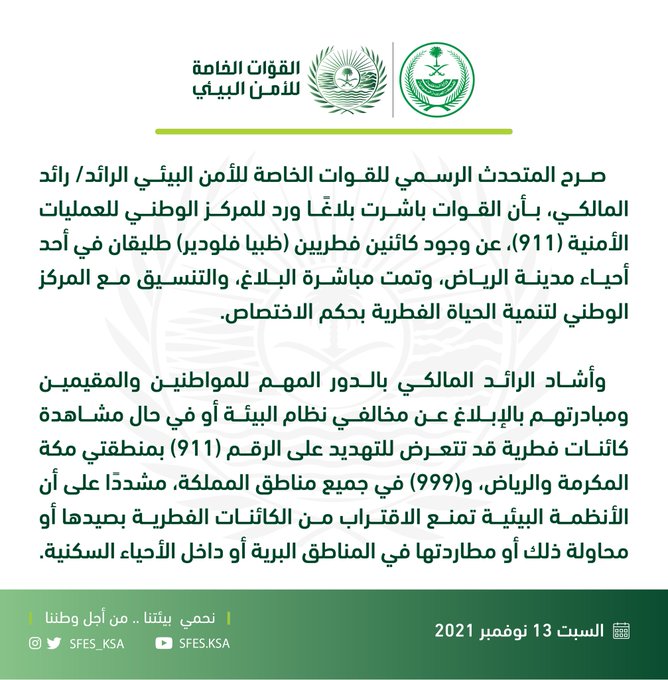 كائنان فطريان طليقان أحياء الرياض..