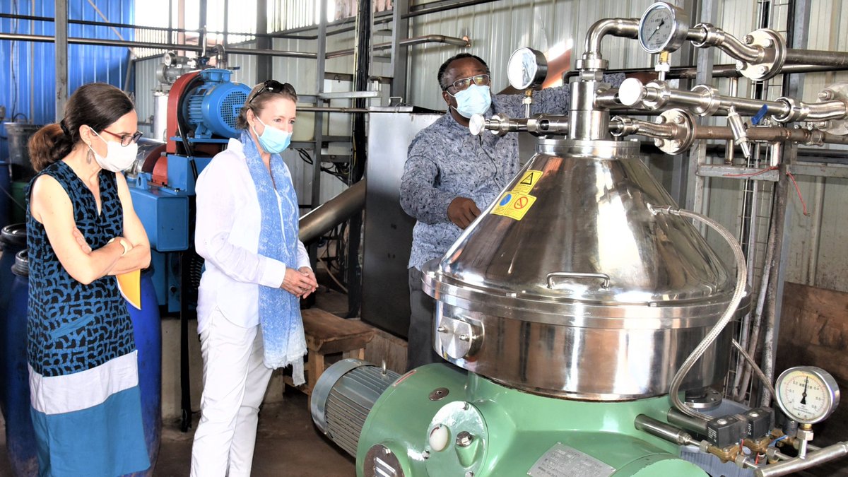 SHartleif's tweet photo. Renforcer le secteur privé: visite de l'usine @NaturaKarite, entreprise de produits de qualité à base de #karité. Merci pour l'accueil chaleureux, Directeur Gilles Adamon, et pour votre travail aux côtés des #femmes. L'UE est fière d'être votre partenaire. #Benin #Parasep 🇪🇺🇧🇯 https://t.co/i67GLXWhXy