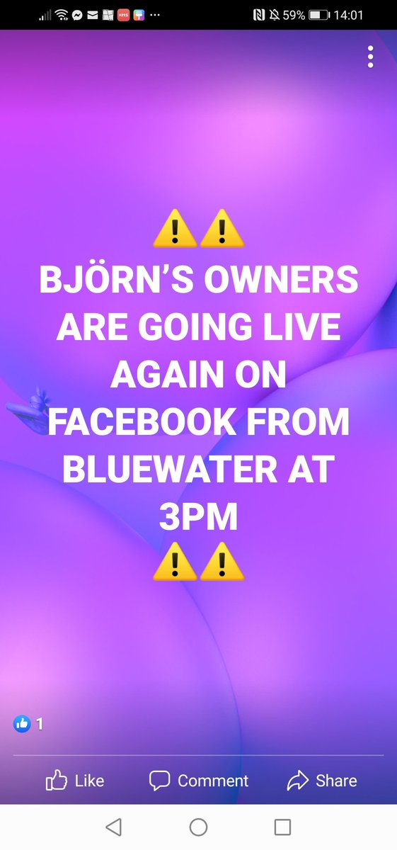 HunnyJax's tweet photo. .. @ruskin147 we are all sooo pleased &amp; relieved that your beautiful senior dog Cabbage &amp; 5 other stolen 🐶s were  quickly made toohottohandle y'day... Please Could you now RT ⬆️to help with further awareness to #findBolonkaBjorn.. Stolen from Owner's van DA9 last Sat Nov 6th. https://t.co/MvmrTdAKXq