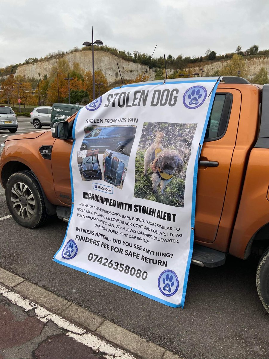 HunnyJax's tweet photo. .. @ruskin147 we are all sooo pleased &amp; relieved that your beautiful senior dog Cabbage &amp; 5 other stolen 🐶s were  quickly made toohottohandle y'day... Please Could you now RT ⬆️to help with further awareness to #findBolonkaBjorn.. Stolen from Owner's van DA9 last Sat Nov 6th. https://t.co/MvmrTdAKXq