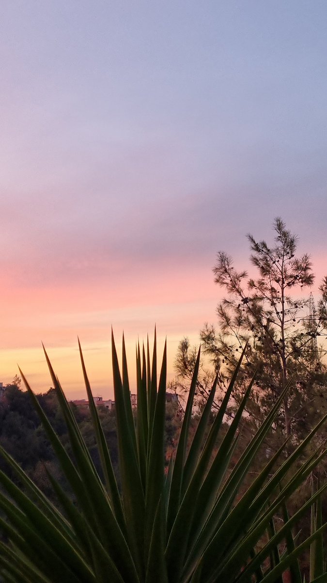 _ritaxo's tweet photo. Today's sunset was beautiful. https://t.co/dfvizt0uYU