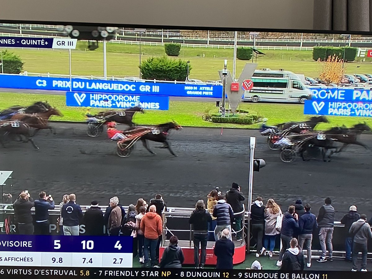 EcurieVivaldi's tweet photo. Il prend une belle quatrième place, notre #ExpressJet, dans le Prix du Languedoc cet après-midi à @vhpofficiel. Progressivement, il revient à son meilleur niveau. C’est de bon augure pour le meeting d’hiver 😀 https://t.co/YlPzxHJYJT
