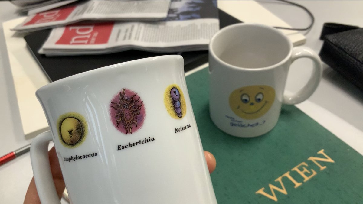 kid_voyage's tweet photo. Lieb ja das Variationsreichtum an Tassenmotiven auf der Arbeit. Begegne hier diversen Infektionsängsten mit realitycheck zur bakteriellen Teeküchenlage. Chai inklusive Neisseria? Not so nice. Zur Not tut‘s halt die Tasse mit dem „Heute schon gelächelt?“-😊#workplacemug #süffisant https://t.co/i9kP3KSY92