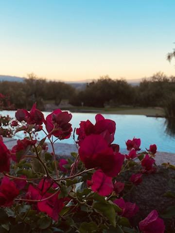 ISC President, Kiran Singh Sirah, is spending the weekend in the sunny Santa Catalina Mountains outside Tucson, Arizona, to take part in and present at the Rotary International Big West Institute Conference. Thanks for representing the team at ISC! #PowerOfStorytelling @rotary