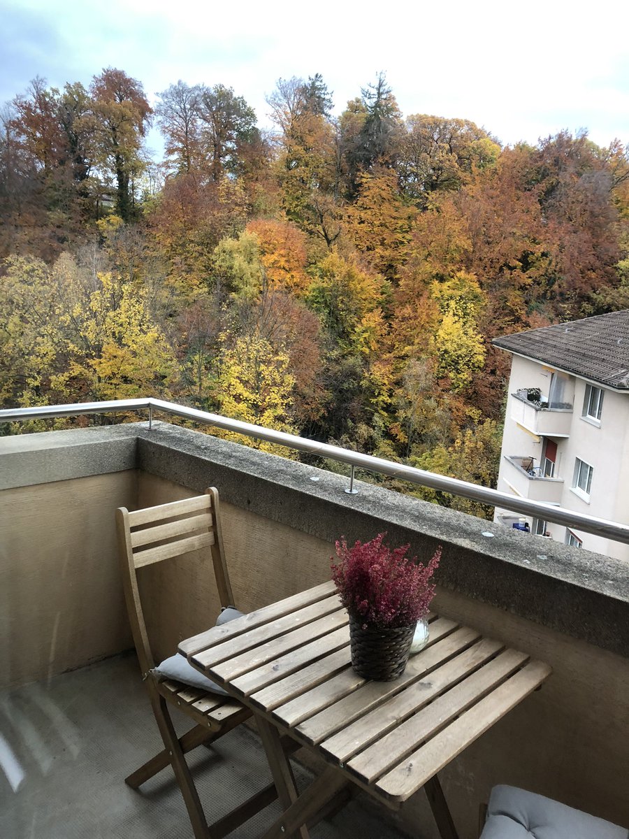 LauraViader88's tweet image. Couleurs d’Automne