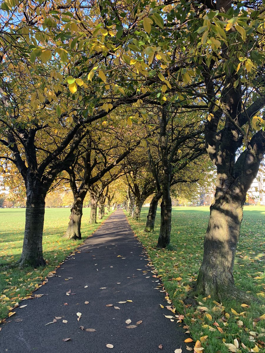 Coronation Walk, The Meadows, Edinburgh