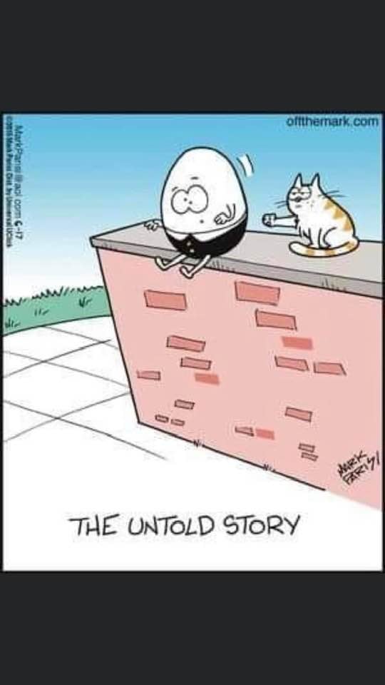 wraithfodder's tweet photo. #Caturday https://t.co/TutedNF6sZ