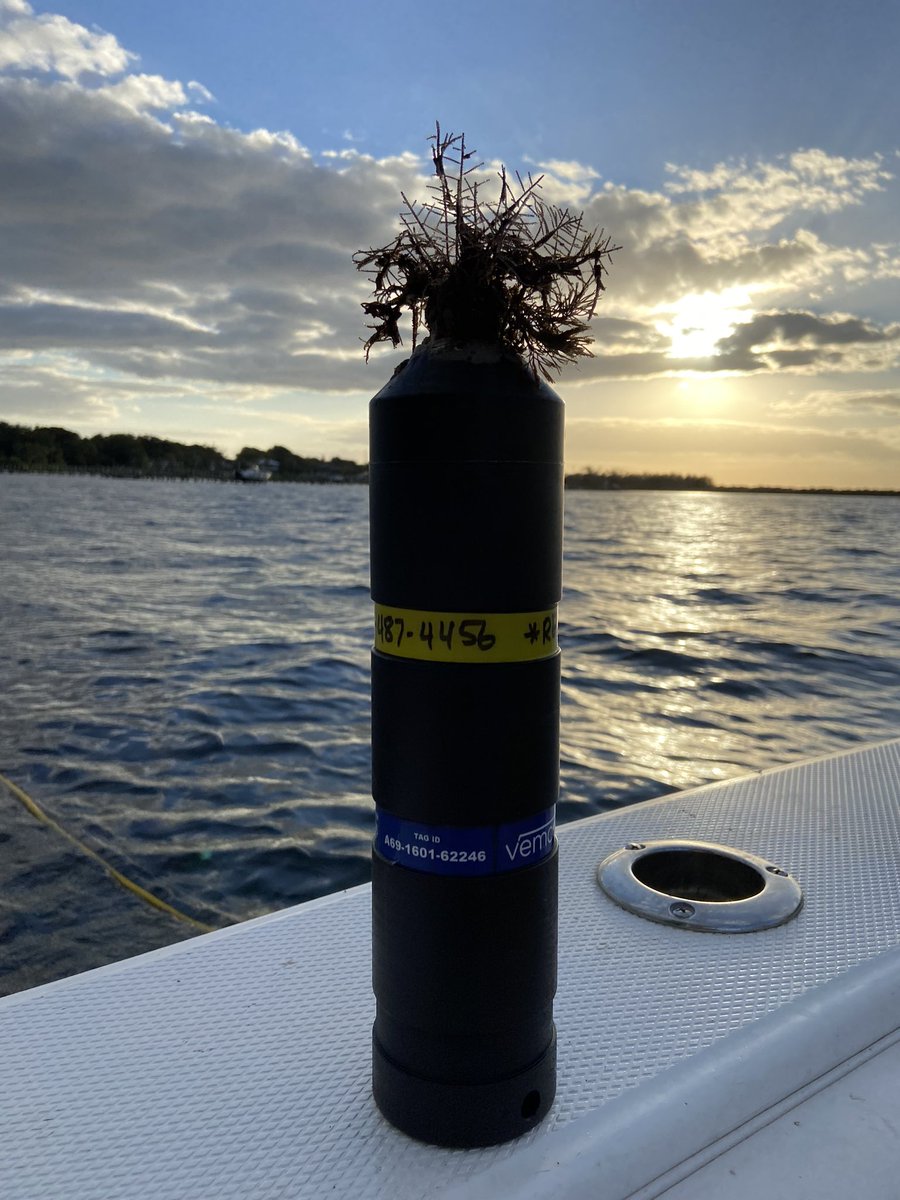 Dr. Jayne Gardiner (@gardinerlab) on Twitter photo 33 existing @innovasea receiver stations serviced and 17 new ones deployed in just over 2 days! Seriously lucky to work with the diving dream team <a href="/VictoriaGoldne1/">Victoria Goldner</a> <a href="/CeciliaMHampton/">Cecilia Hampton</a> <a href="/PritzkerMarine/">Pritzker Marine Lab</a>. Fall fieldwork 🌬 🌧 🌊 🥶. Divers appreciated <a href="/CoastalElasmos/">Havenworth Coastal Conservation</a> hot tub! 33 existing @innovasea receiver stations serviced and 17 new ones deployed in just over 2 days! Seriously lucky to work with the diving dream team <a href="/VictoriaGoldne1/">Victoria Goldner</a> <a href="/CeciliaMHampton/">Cecilia Hampton</a> <a href="/PritzkerMarine/">Pritzker Marine Lab</a>. Fall fieldwork 🌬 🌧 🌊 🥶. Divers appreciated <a href="/CoastalElasmos/">Havenworth Coastal Conservation</a> hot tub!