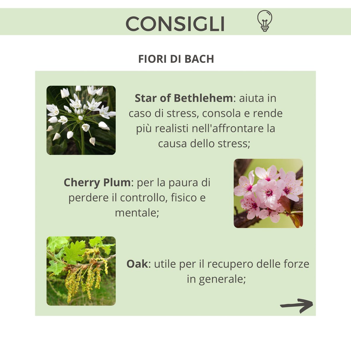 NaturopataMSB's tweet photo. 🤦🏻‍♂️Giornata NO?
➡️ecco i miei consigli contro stanchezza, stress e ansia. https://t.co/7PDHYNPvWP
