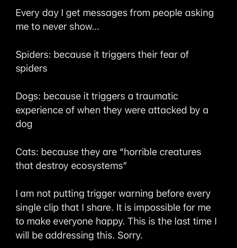 ddofinternet's tweet image. 