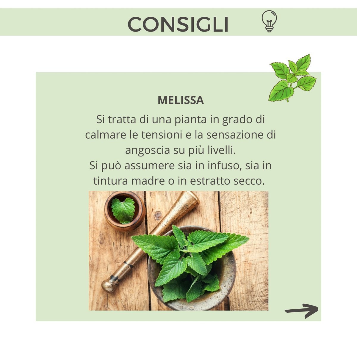 NaturopataMSB's tweet photo. 😰Sono numerosi gli impegni quotidiani che dobbiamo affrontare: arrivare in orario al lavoro, dare il massimo delle proprie potenzialità, gestire la famiglia e i rapporti sociali… insomma, la nostra routine è frenetica e spesso capita di sentire forte stress e ansia. https://t.co/1zl4DxLU0e