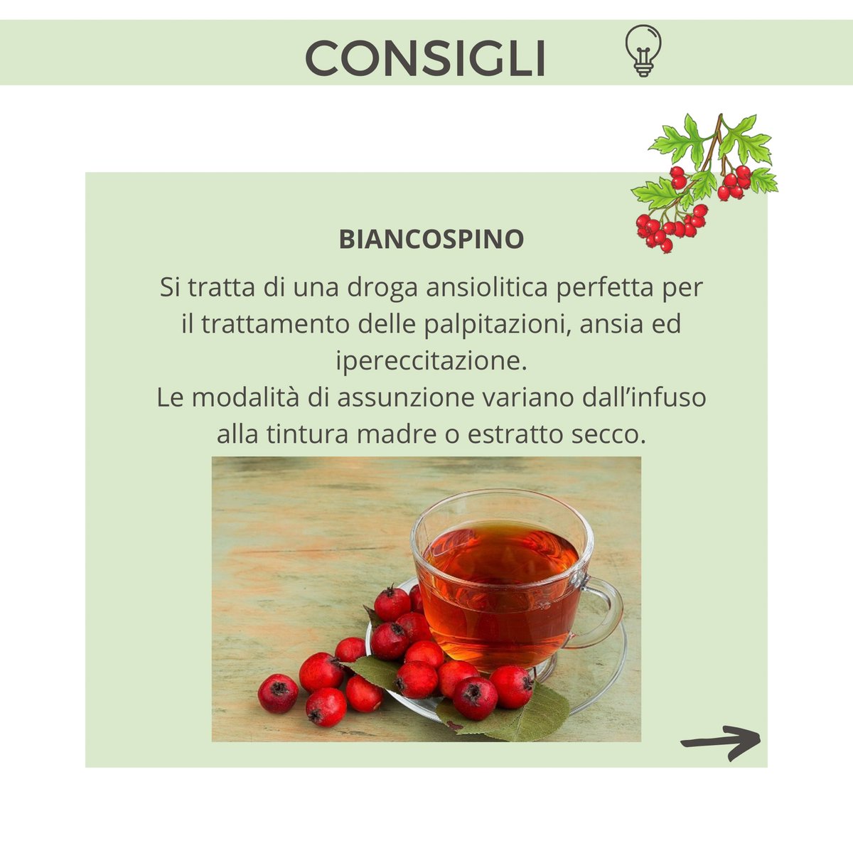 NaturopataMSB's tweet photo. 😰Sono numerosi gli impegni quotidiani che dobbiamo affrontare: arrivare in orario al lavoro, dare il massimo delle proprie potenzialità, gestire la famiglia e i rapporti sociali… insomma, la nostra routine è frenetica e spesso capita di sentire forte stress e ansia. https://t.co/1zl4DxLU0e