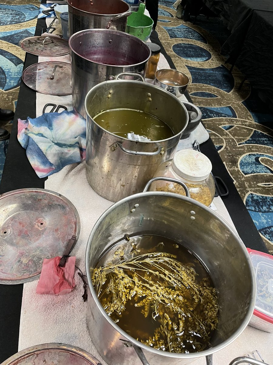 museumfunmaker's tweet photo. learning so much about the fascinating process of using natural dyes with Kristy Bishop (out of CHS). great way to incorporate both history and the scientific process. #SCAEA21gvl #STEAM #naturaldyes https://t.co/aonOLp7zTL